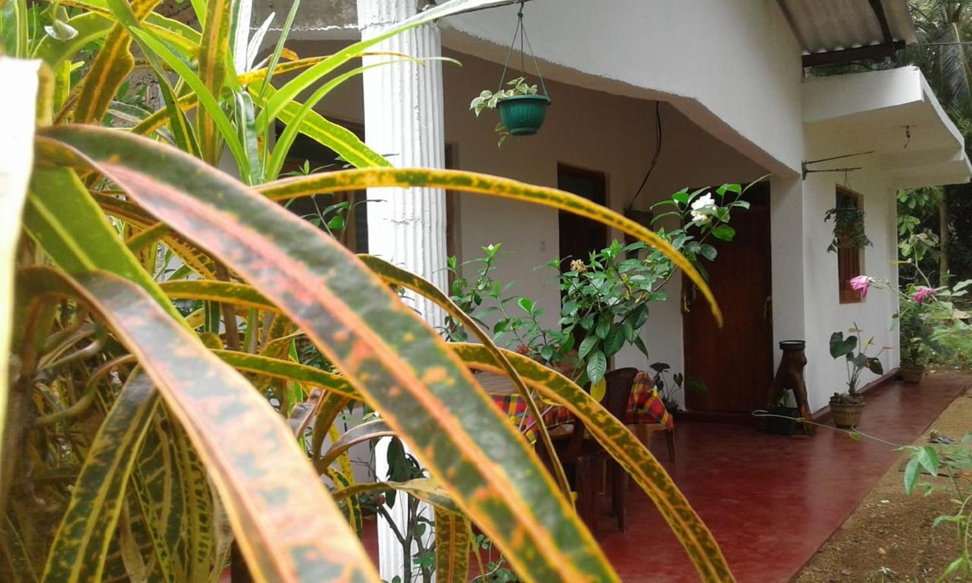 Winstar Homestay Сигирия Экстерьер фото